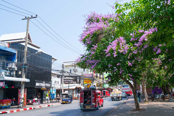 泰国清迈房价2020是多少？